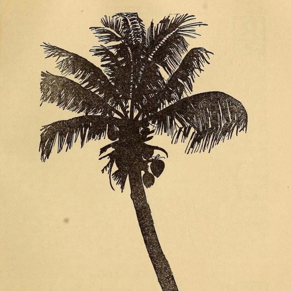 ☼ Welcome to Pirate Parcels ☼